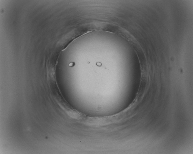 X0000072550045200607281659