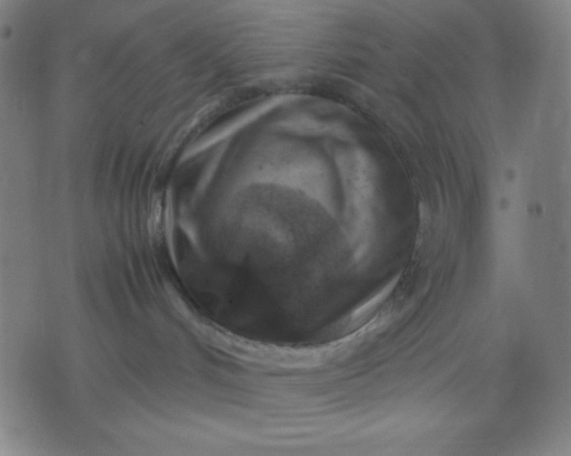 X0000072550048200607281659