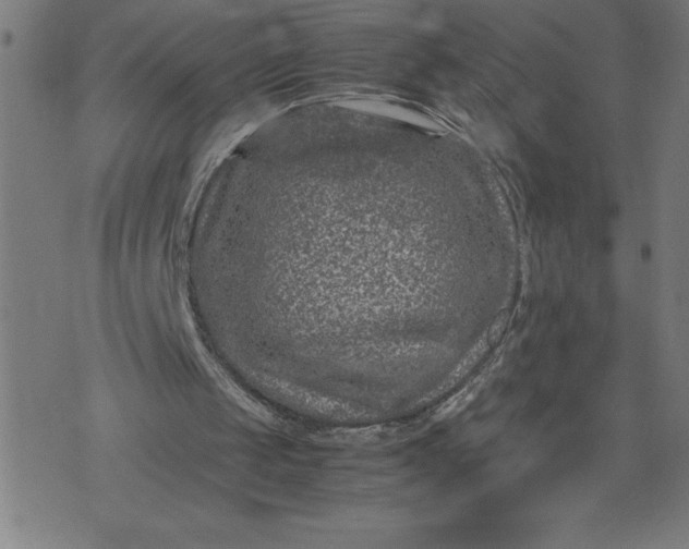 X0000072550049200607281659