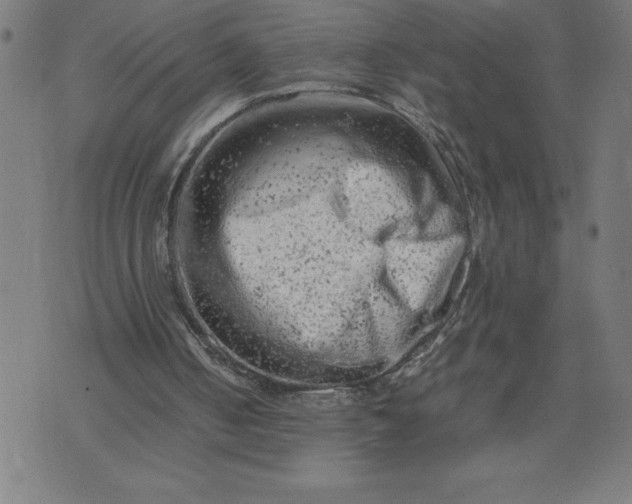 X0000072550050200607281659