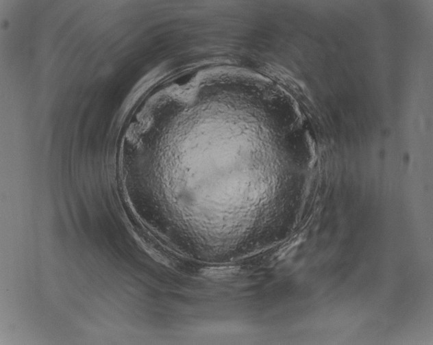 X0000072550051200607281659