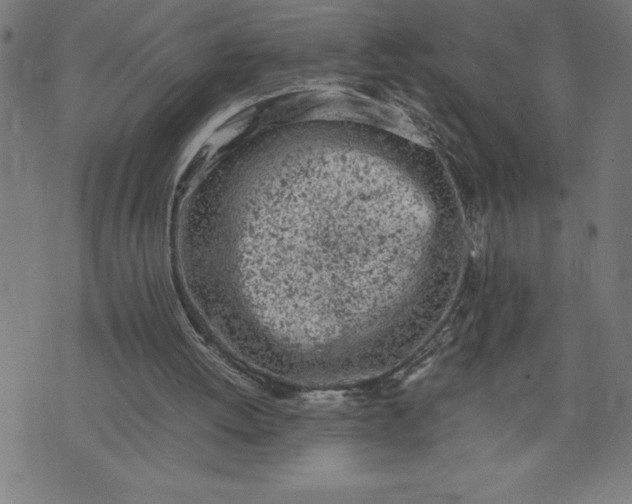 X0000072550052200607281659