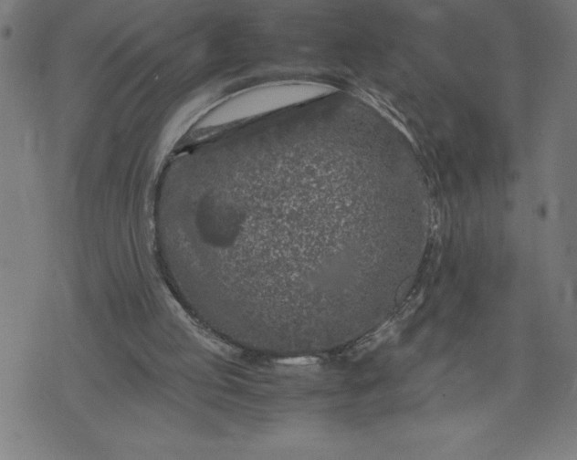 X0000072550053200607281659