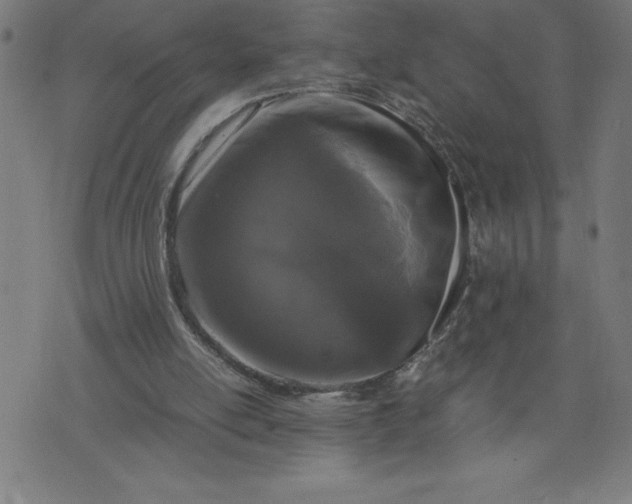 X0000072550054200607281659