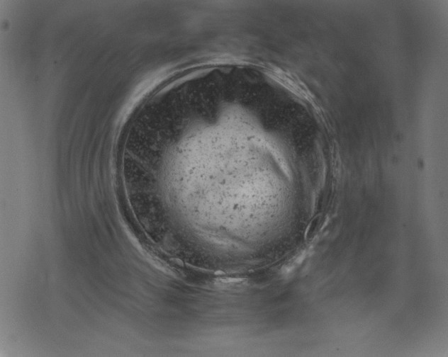 X0000072550055200607281659