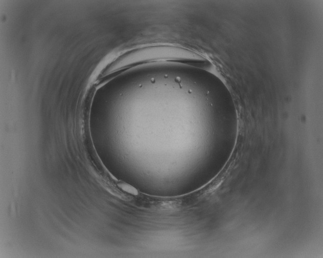 X0000072550056200607281659