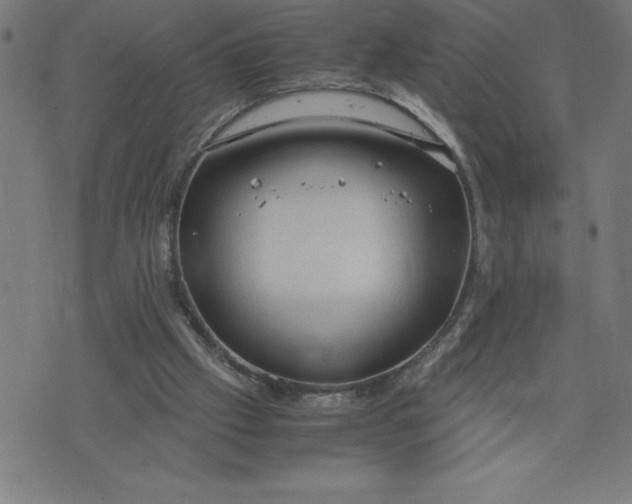 X0000072550057200607281659