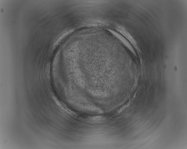 X0000072550058200607281659