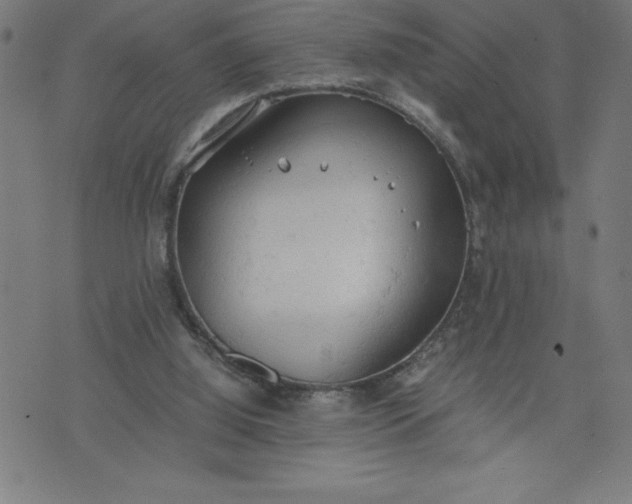 X0000072550060200607281659