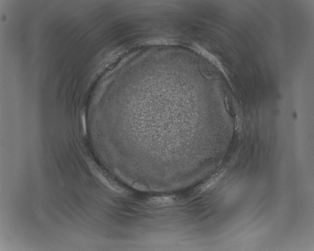 X0000072550061200607281659