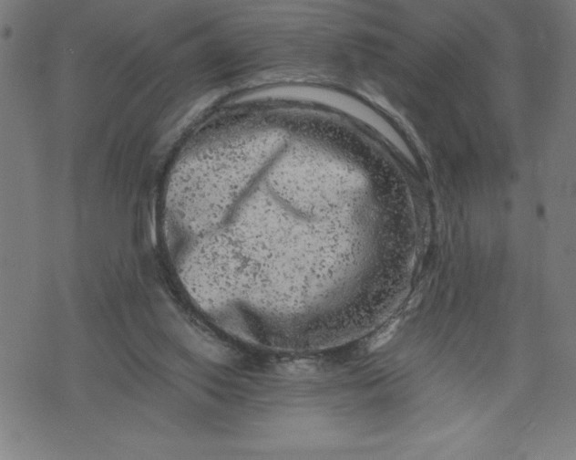 X0000072550062200607281659