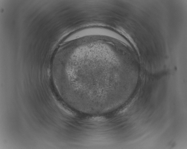 X0000072550063200607281659