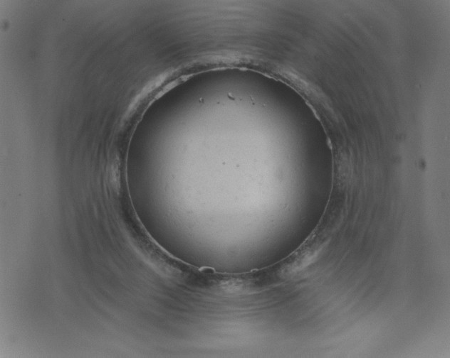 X0000072550064200607281659