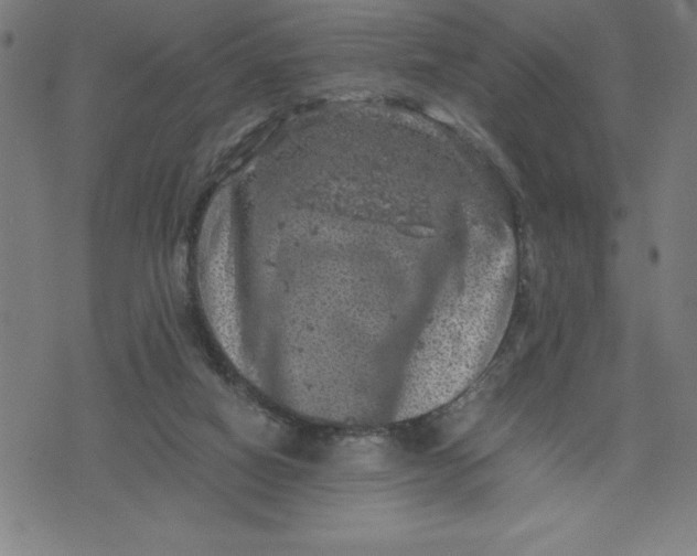 X0000072550066200607281659