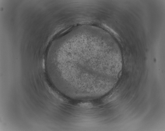 X0000072550067200607281659