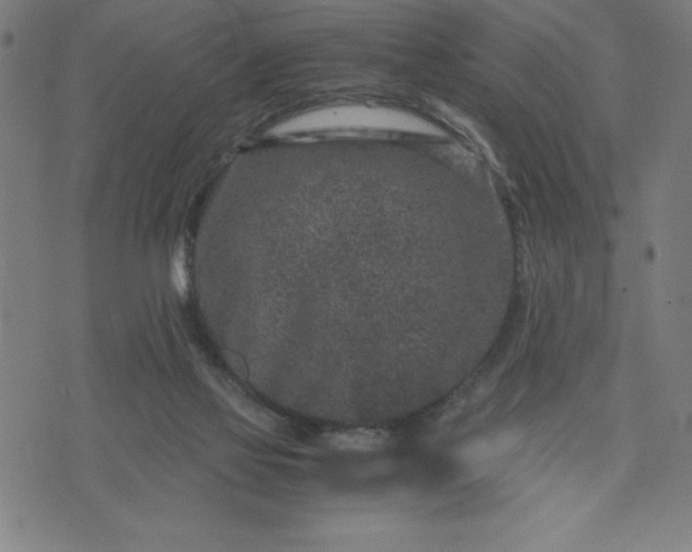 X0000072550069200607281659