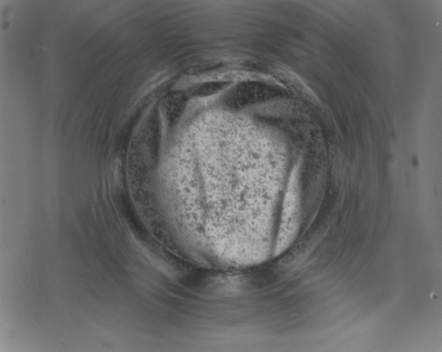 X0000072550071200607281659