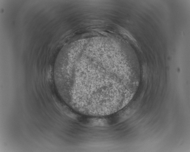 X0000072550073200607281659