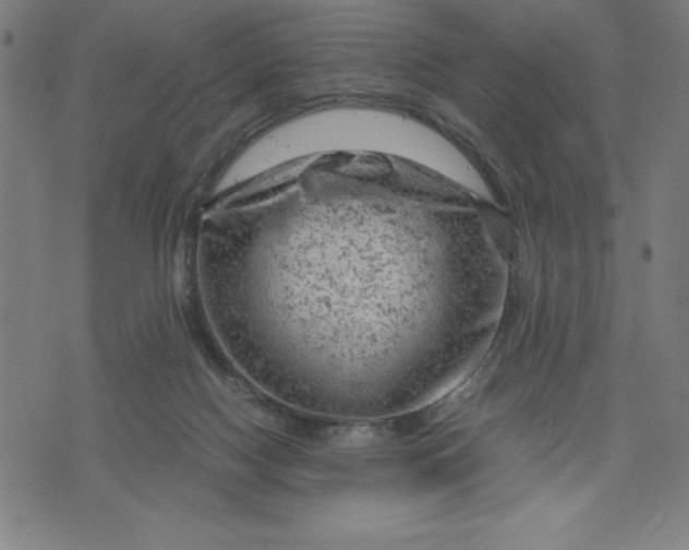 X0000072550074200607281659