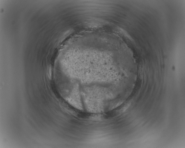 X0000072550076200607281659