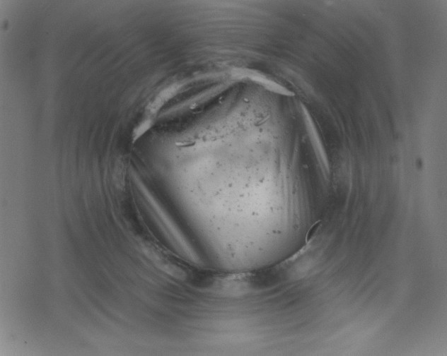 X0000072550078200607281659