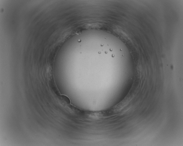 X0000072550079200607281659