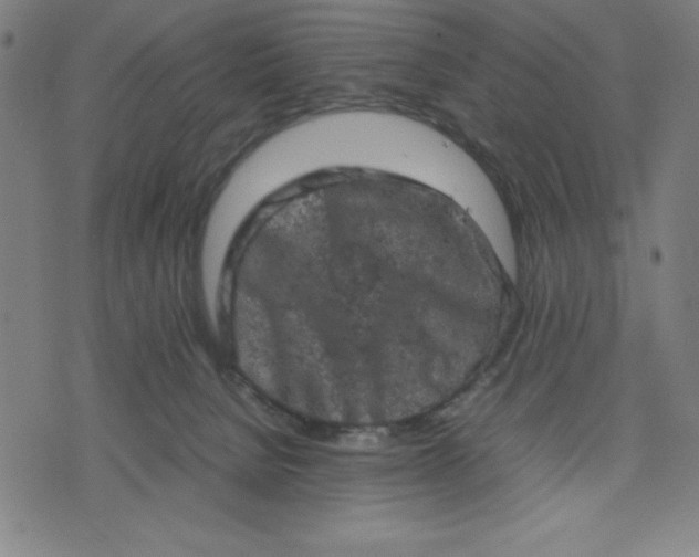 X0000072550080200607281659