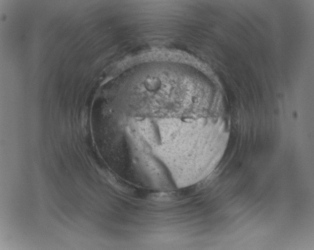 X0000072550082200607281659