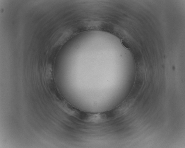 X0000072550083200607281659