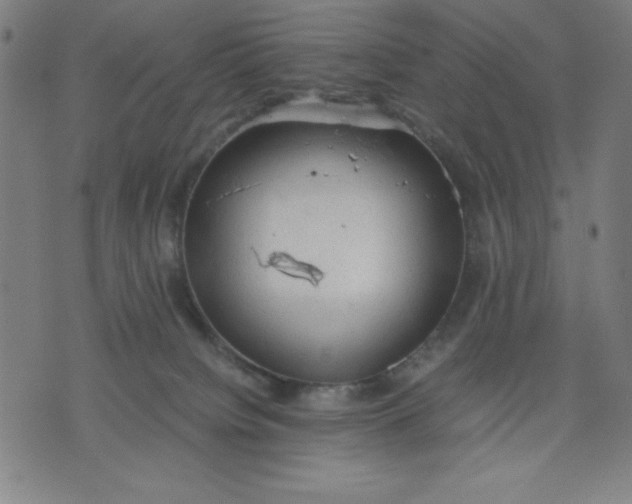 X0000072550084200607281659