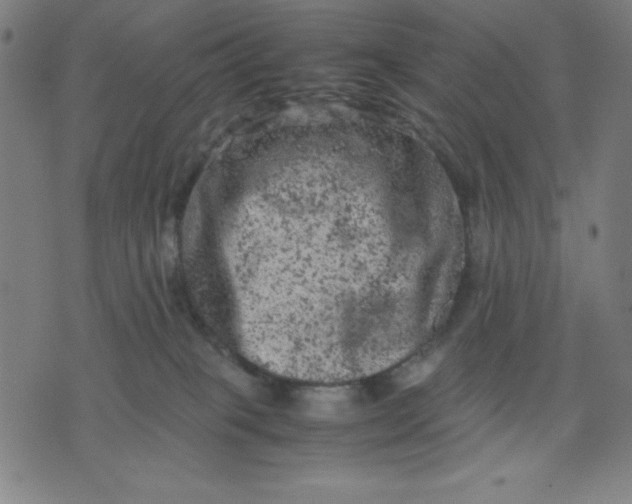 X0000072550085200607281659