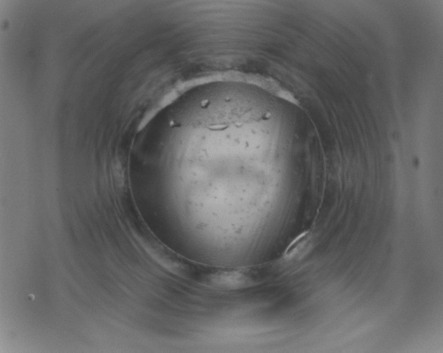 X0000072550086200607281659