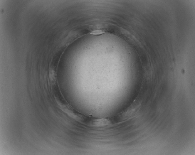 X0000072550087200607281659