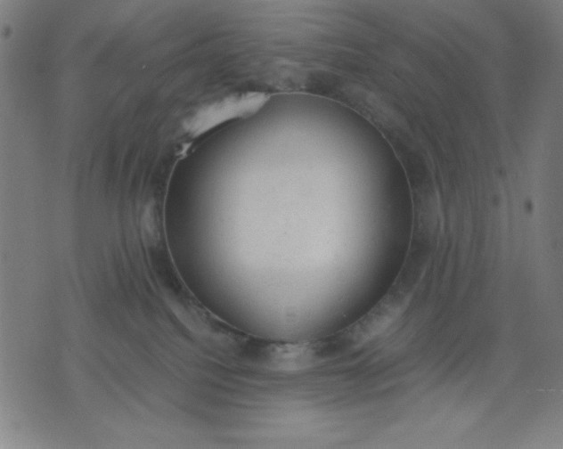 X0000072550088200607281659