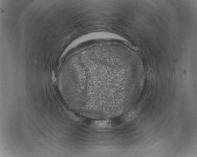 X0000072550089200607281659