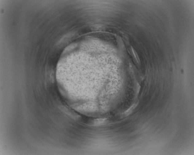 X0000072550090200607281659