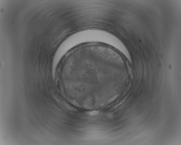 X0000072550092200607281659