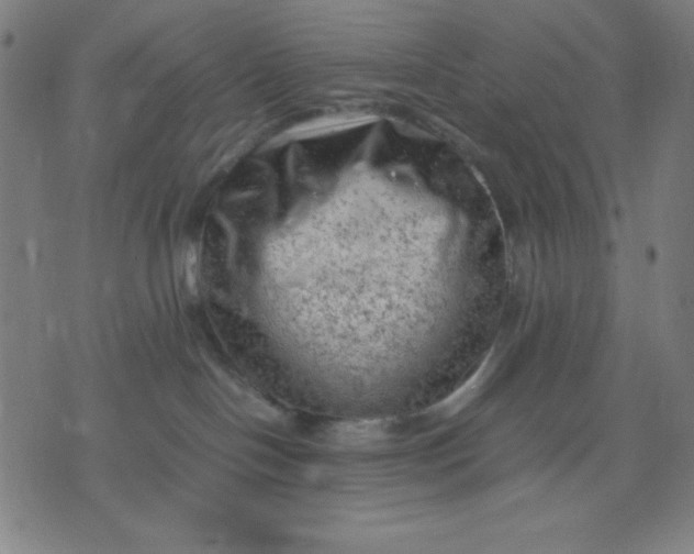 X0000072550094200607281659