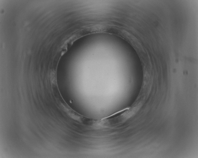 X0000072550096200607281659