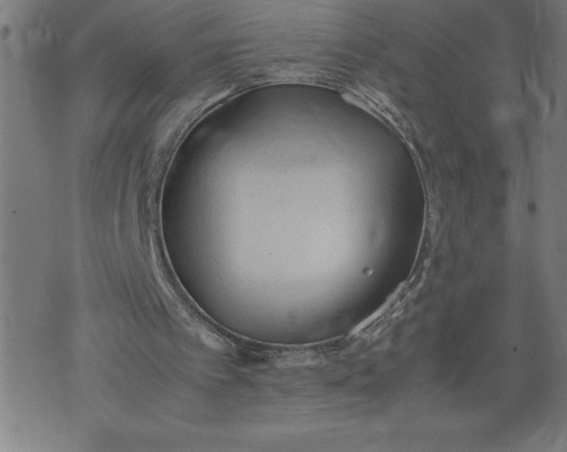 X0000072550097200607281658