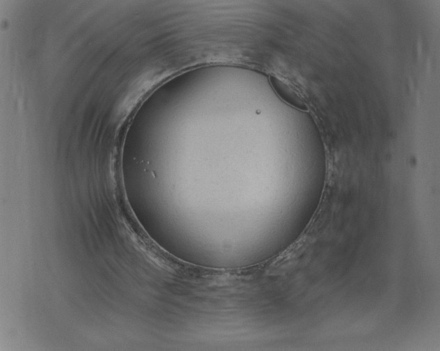 X0000072550098200607281658