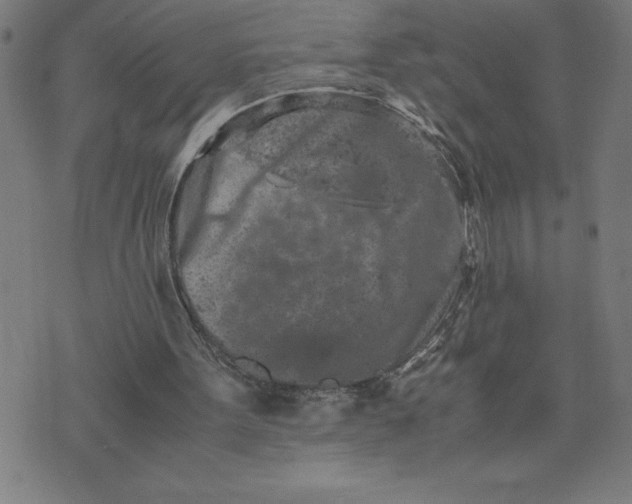 X0000072550099200607281658