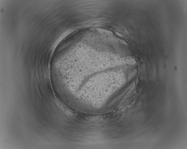 X0000072550100200607281658