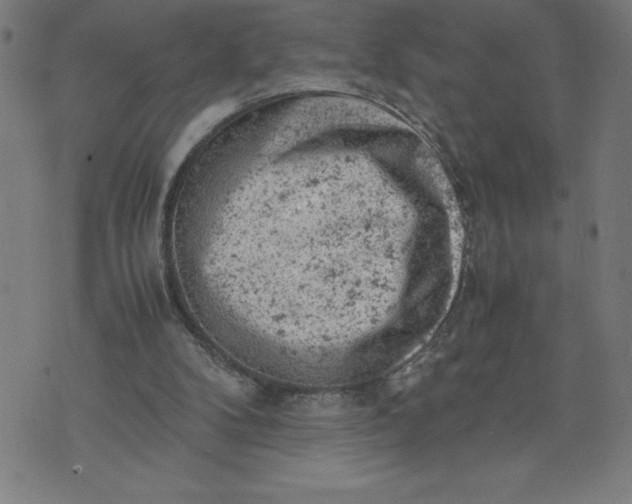 X0000072550104200607281658