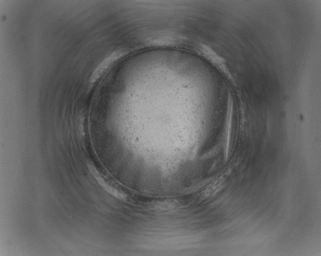 X0000072550106200607281658