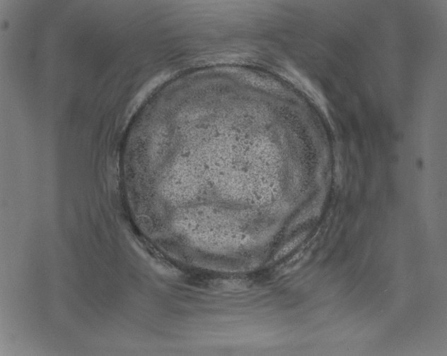 X0000072550107200607281658