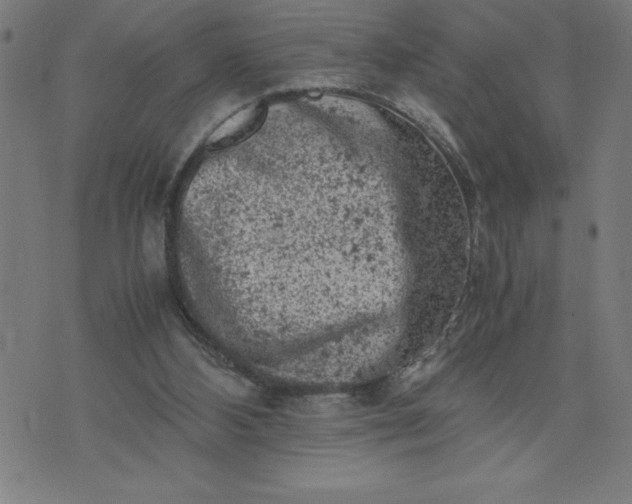 X0000072550108200607281658