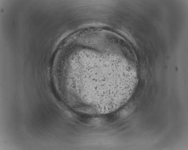 X0000072550111200607281658