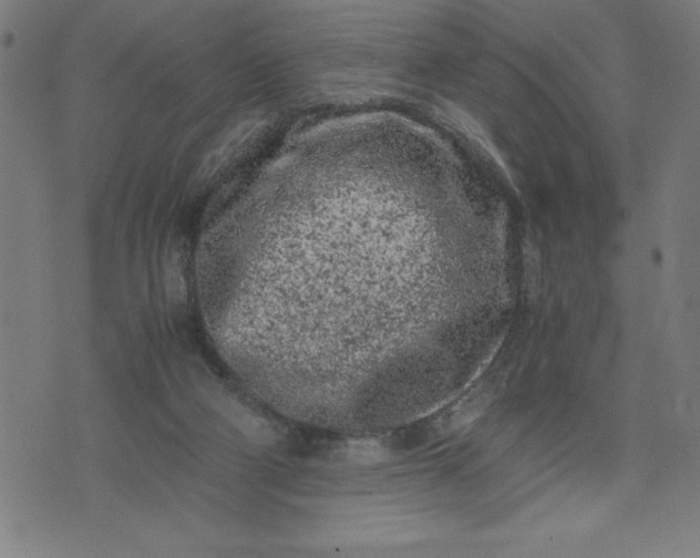 X0000072550114200607281658