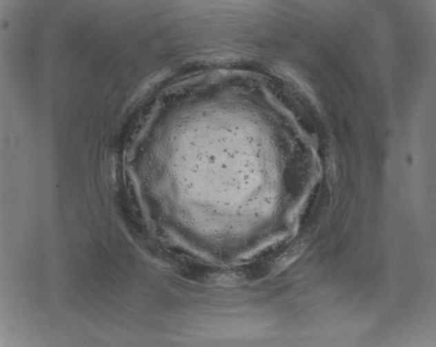 X0000072550115200607281658